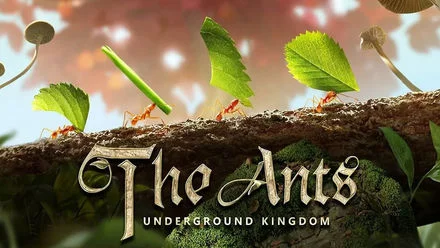 The Ants: обзор Гайдов и Секретов игры